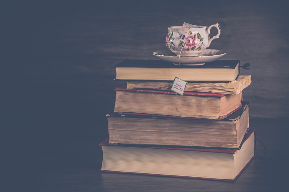 literature 3091212 960 720
