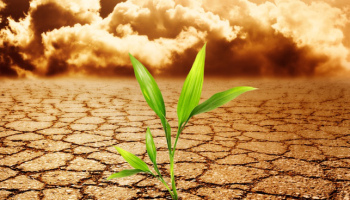 crecimiento postraumático