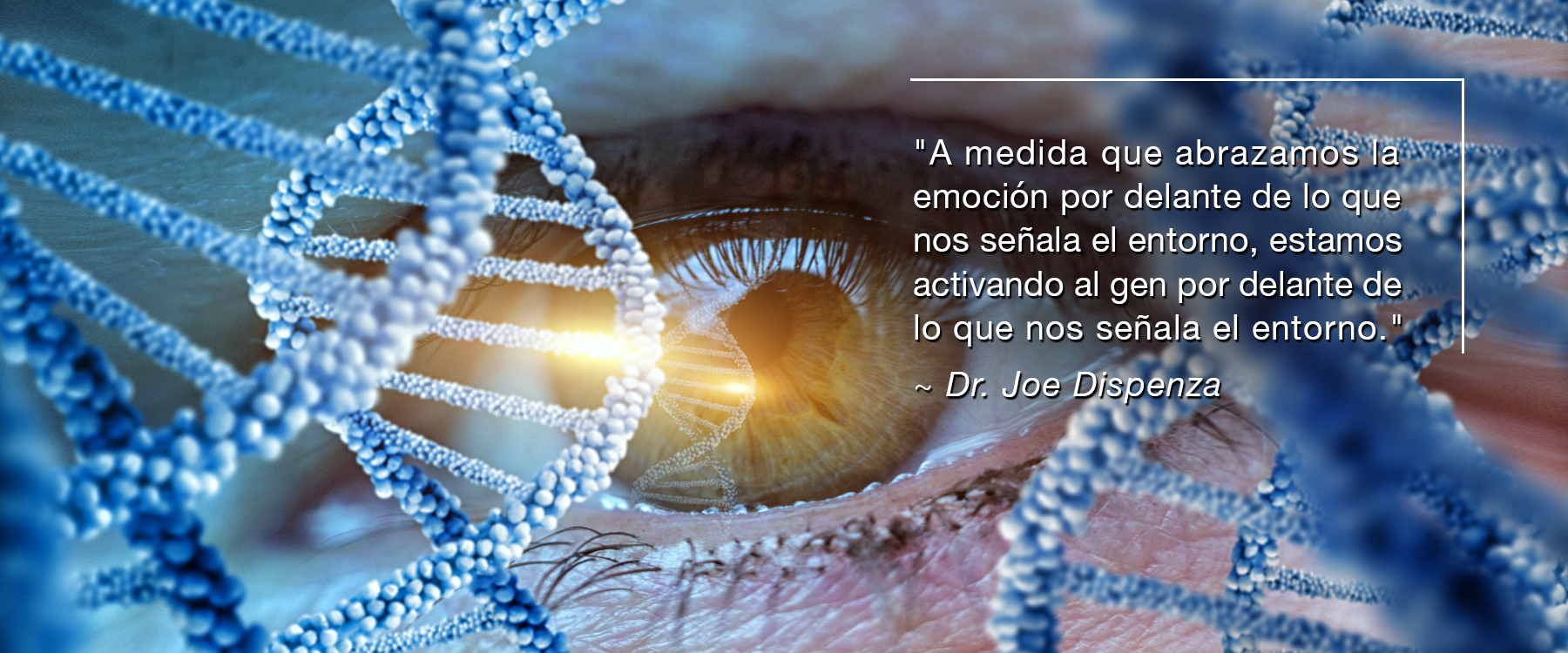 frases de jor dispenza