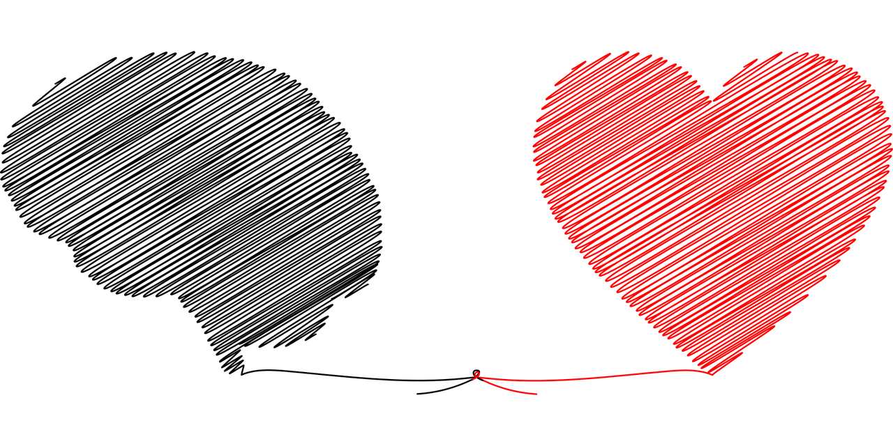 Coherencia cardíaca: el corazón percibe, el cerebro interpreta
