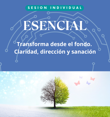 Imagenes productos
